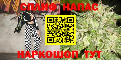 стаф Славянск-на-Кубани