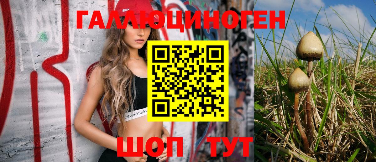 Усть-Джегута  Псилоцибиновые грибы Cubensis  Вход с VPN 
