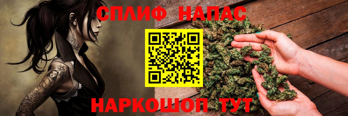 Псилоцибиновые грибы Усть-Джегута