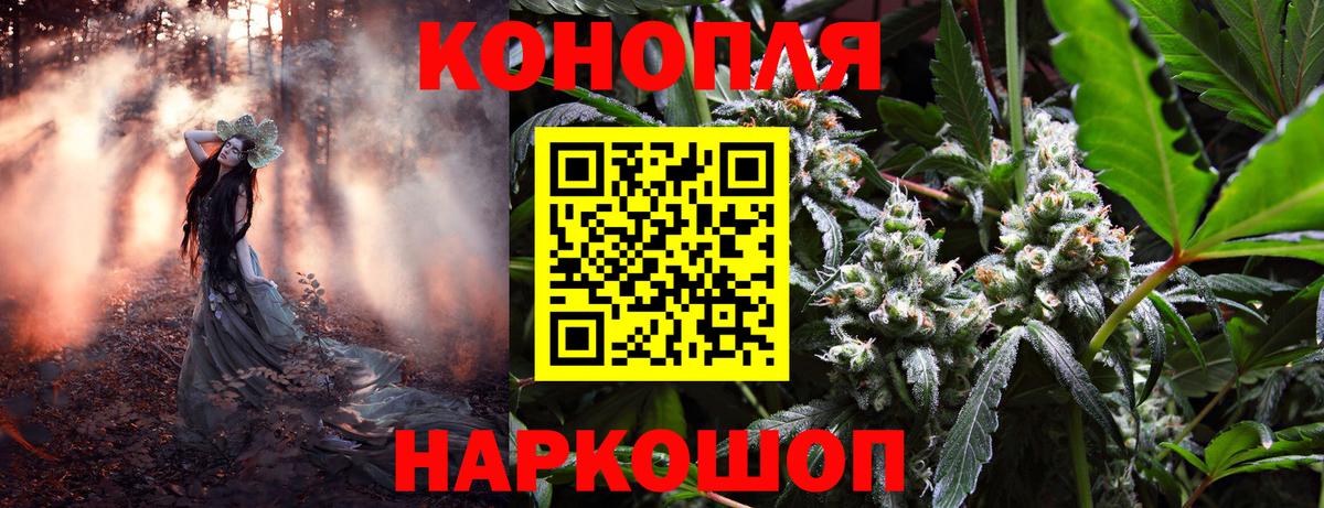 МАРИХУАНА план  Вход с VPN  Усть-Джегута  Бошки марихуана сатива  Марихуана планчик  Бошки Шишки LSD WEED 